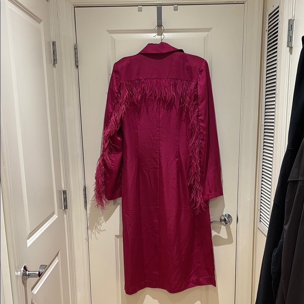 Chic Pink Button-Up Coat with Feather Detail - Picture 6 of 11
